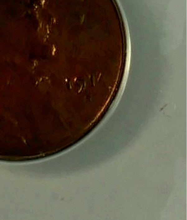 1914-S-Wheat-Cent-In-1914-D-ANACS-Holder