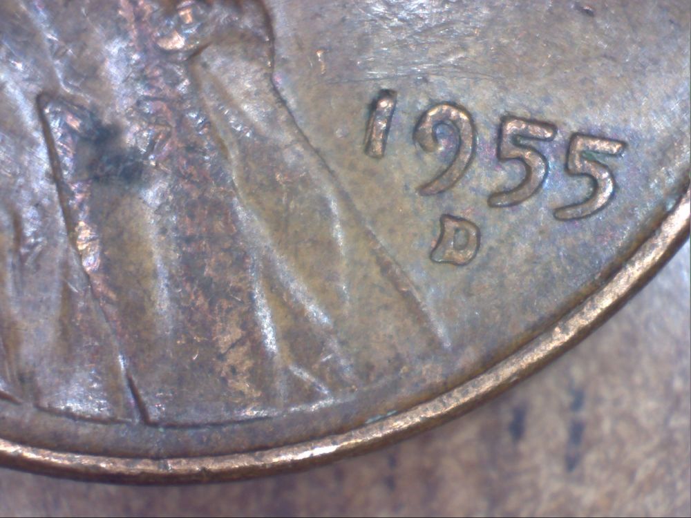 1955-D0-01