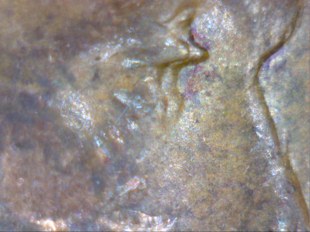 1955-D0-01