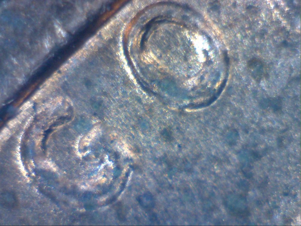1972-D--DDO-Or-What?
