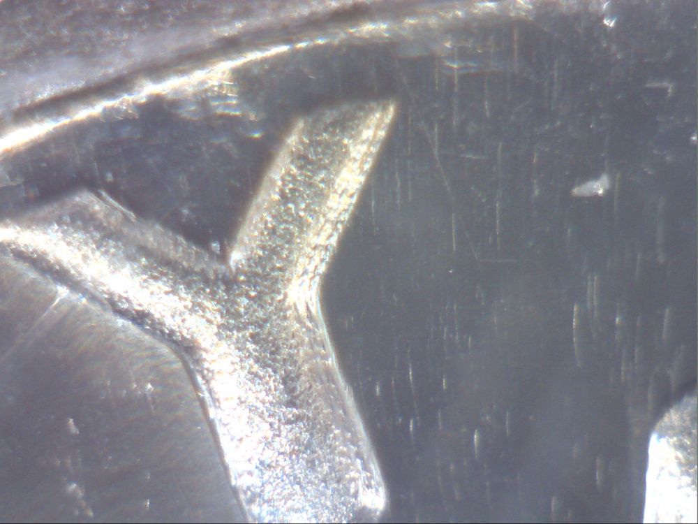 1981-Proof-Dime-DDO?