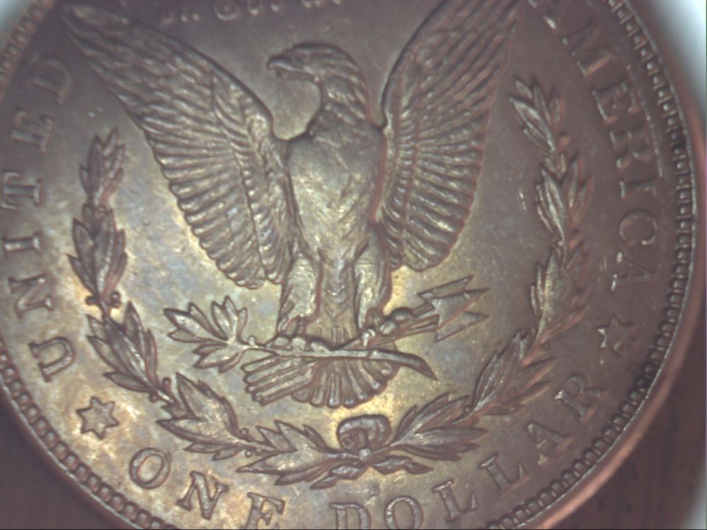 1921-S-Morgan