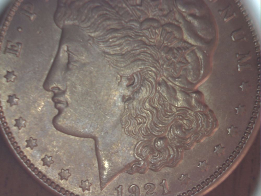 1921-S-Morgan