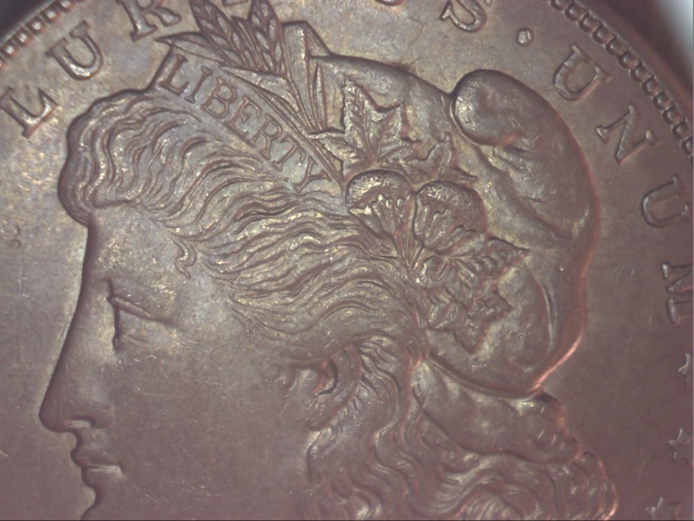 1921-S-Morgan