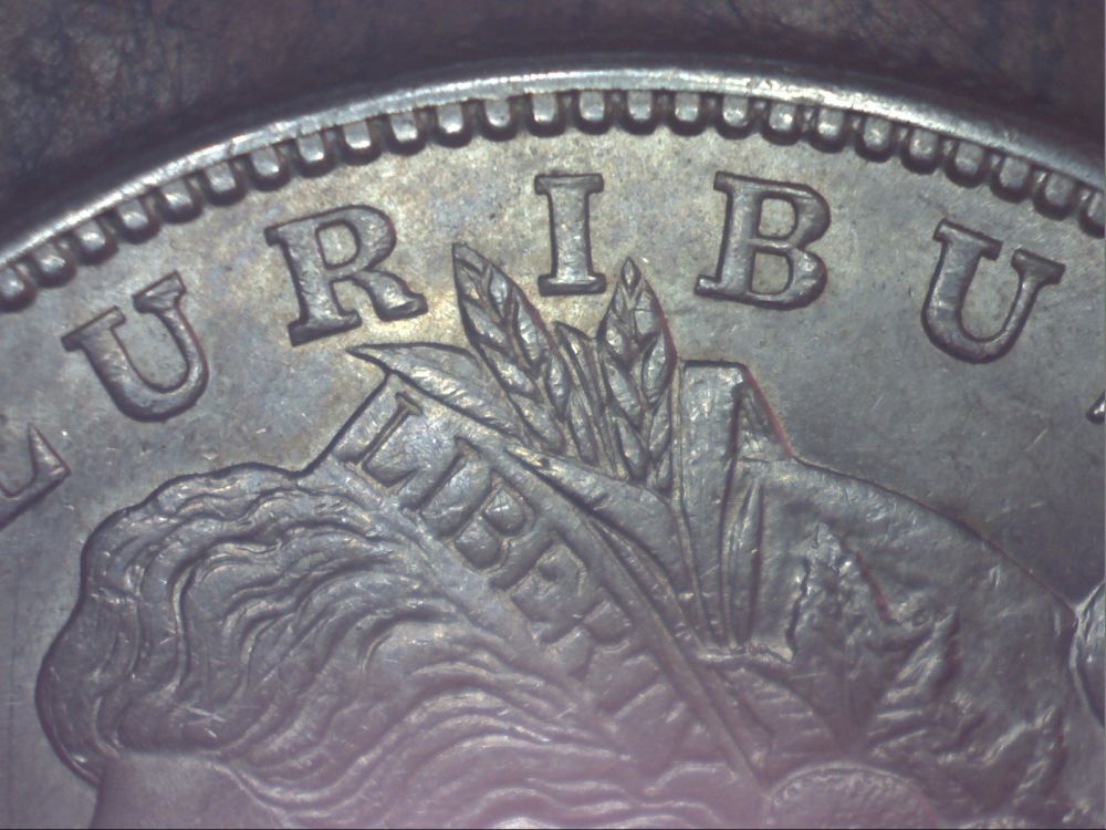 1921-S-Morgan
