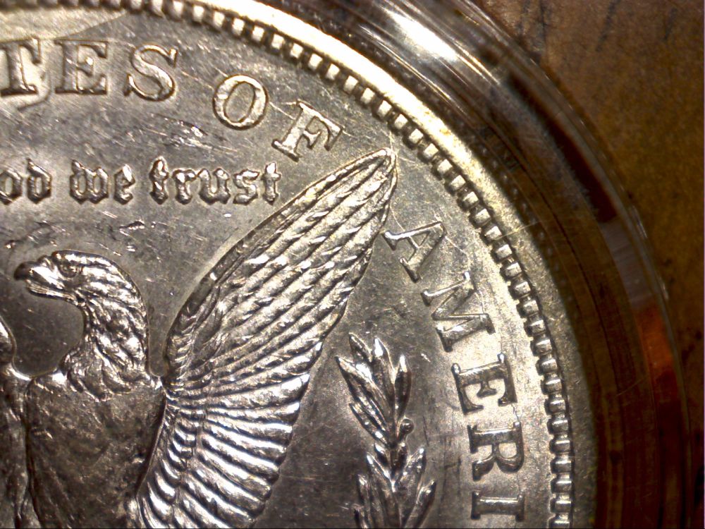 1921-D-Morgan-Dollar-Grade-Please