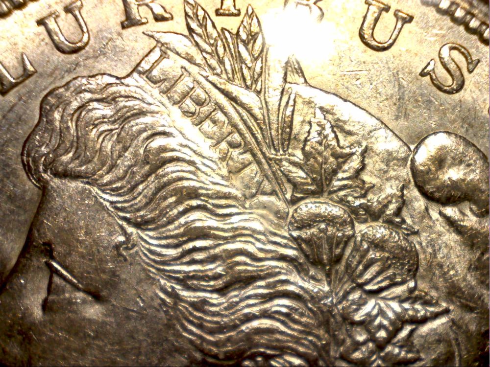 1921-D-Morgan-Dollar-Grade-Please