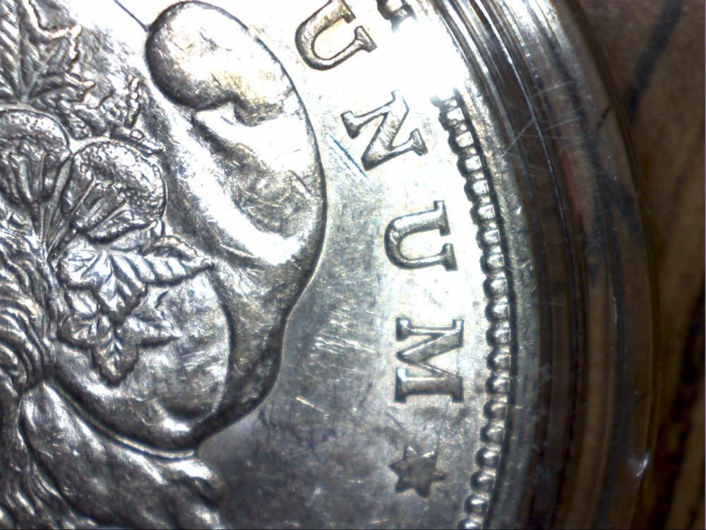 1921-D-Morgan-Dollar-Grade-Please