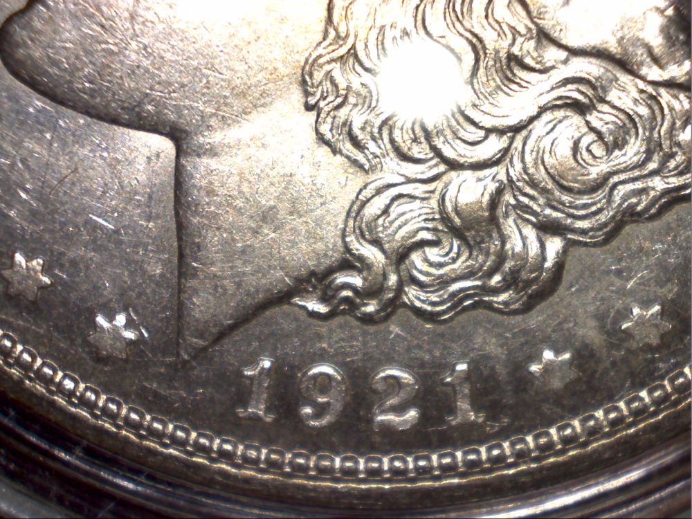 1921-D-Morgan-Dollar-Grade-Please