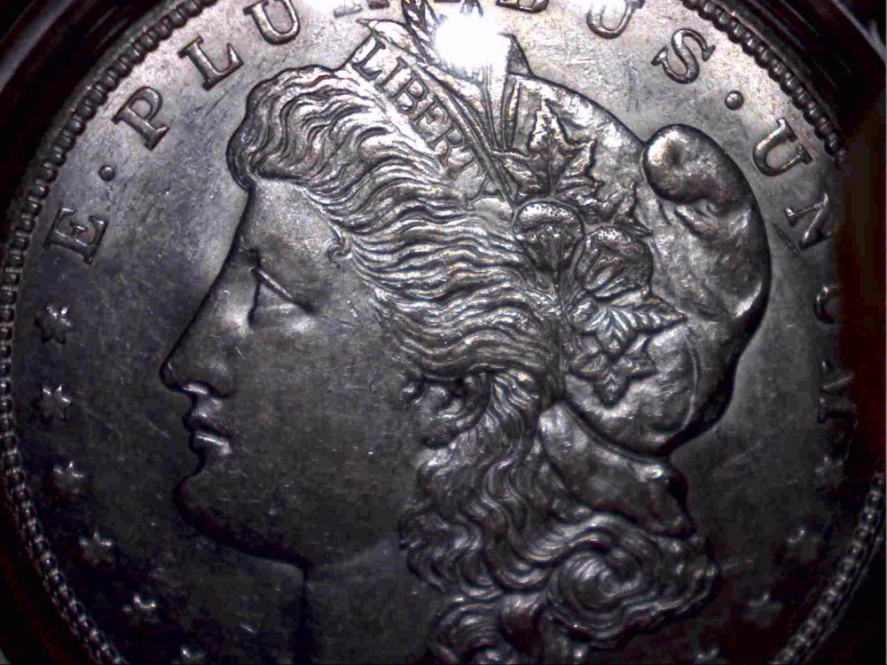 1921-D-Morgan-Dollar-Grade-Please