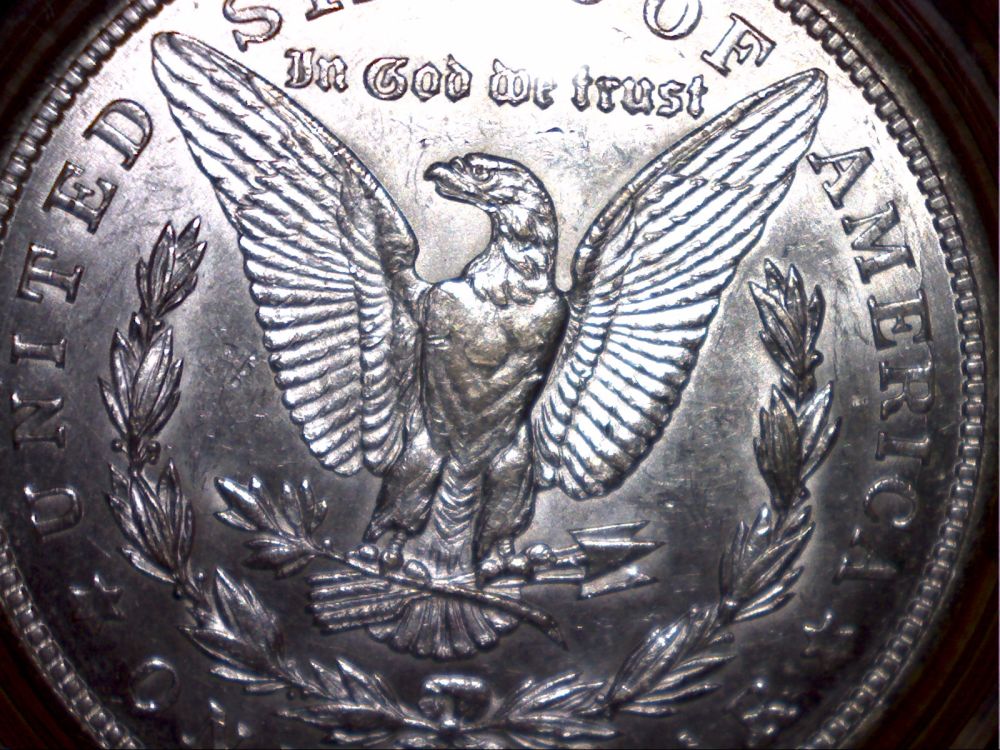 1921-D-Morgan-Dollar-Grade-Please