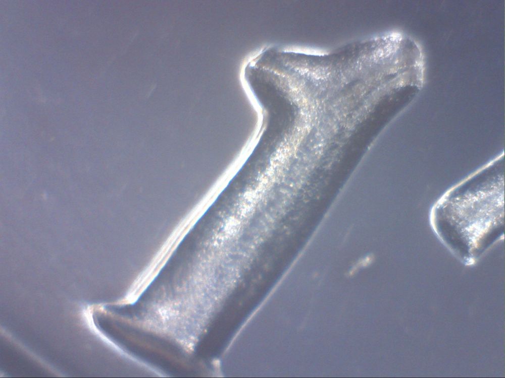 Proof-1976-Bicentenial-Half-DDO-On-Date