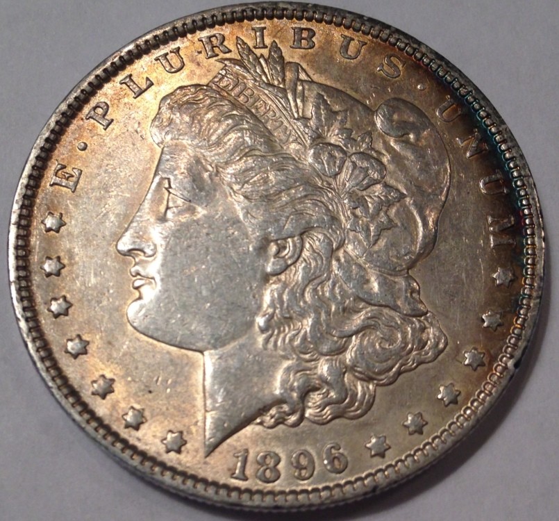 My-Start-To-Collecting-Morgans
