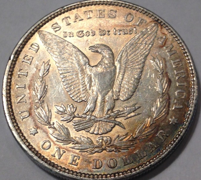 My-Start-To-Collecting-Morgans