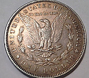 My-Start-To-Collecting-Morgans