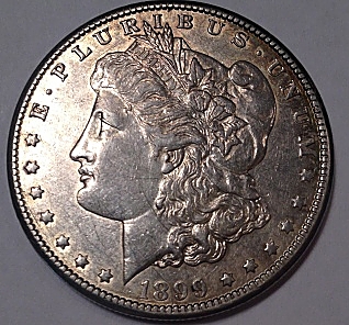My-Start-To-Collecting-Morgans