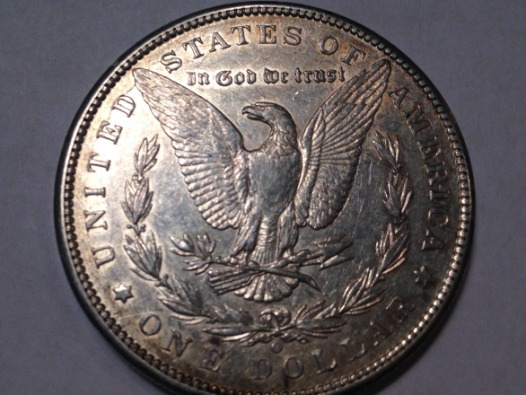 My-Start-To-Collecting-Morgans