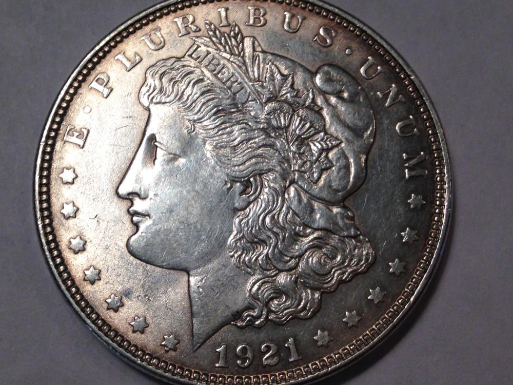 My-Start-To-Collecting-Morgans
