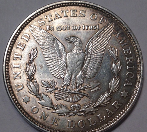 My-Start-To-Collecting-Morgans
