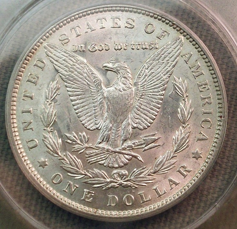 The-28-Days-Of-Morgan-Dollars!-Act-III