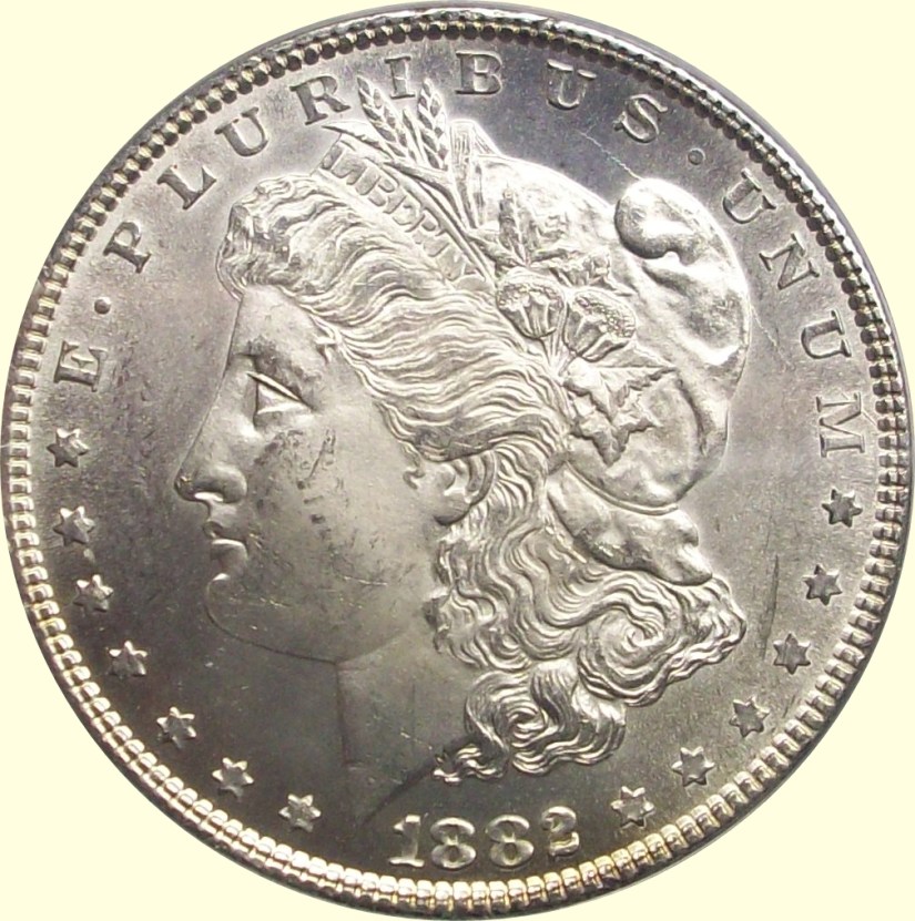 1882-P-Morgan-Dollar-Grade-Review