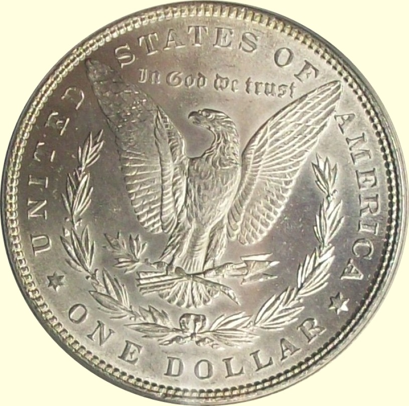 1882-P-Morgan-Dollar-Grade-Review