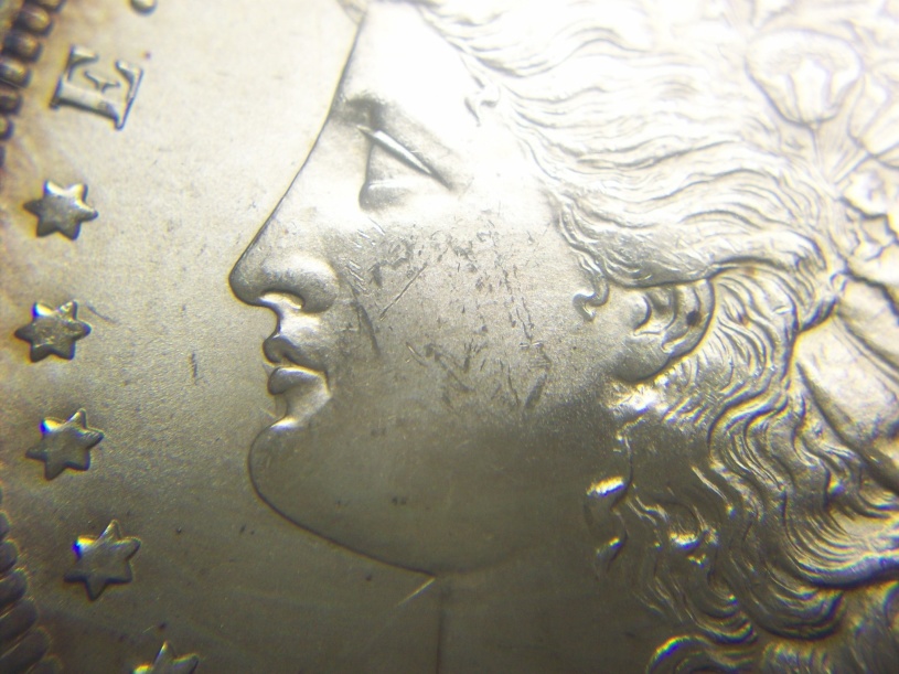 1883-O-#4-Morgan-Dollar-Grade-Review