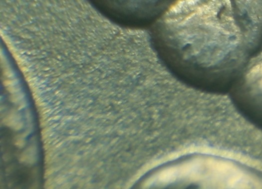 1887-P-VAM-1c-With-A-Differant-E-LDS-VAM1B-??