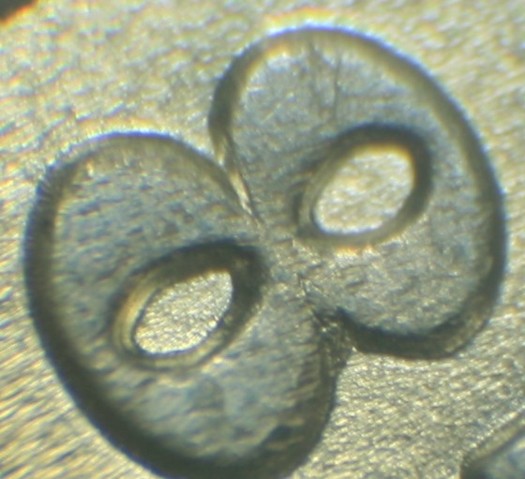 1887-P-VAM-1c-With-A-Differant-E-LDS-VAM1B-??