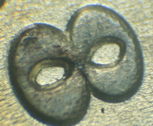 1887-P-VAM-1c-With-A-Differant-E-LDS-VAM1B-??
