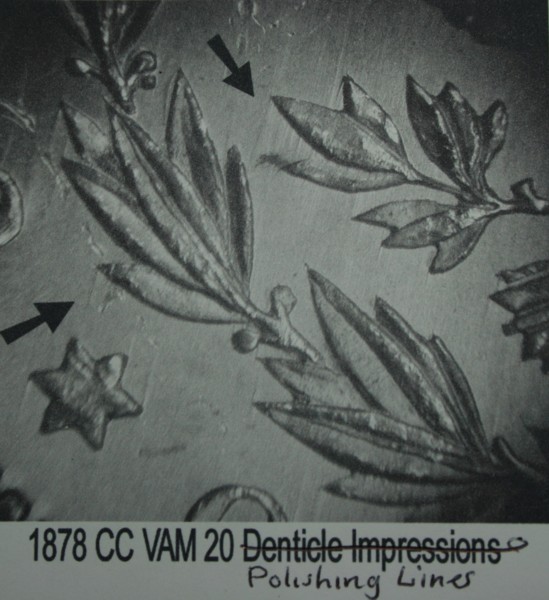 2-New-VAM-Discovery's