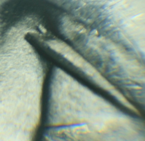 1900-O/Cc-1878-S-Eye-Gouge