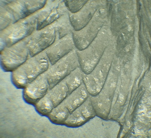 1900-O/Cc-1878-S-Eye-Gouge