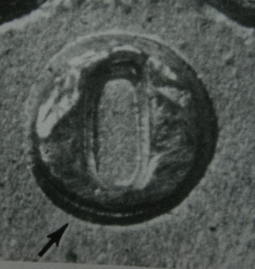 1890-O-Ultra-Die-Degradation-Reverse-Help!