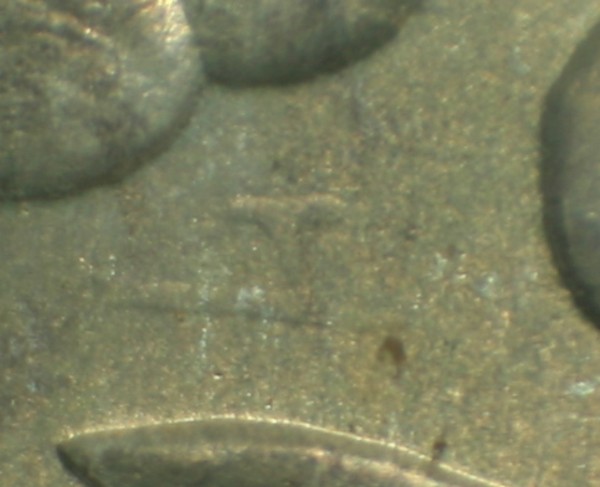 1884-P-VAM-2A