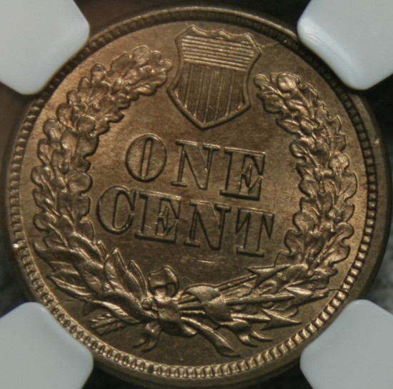 Just-Back-From-NGC-Rick-Snow-Coins?