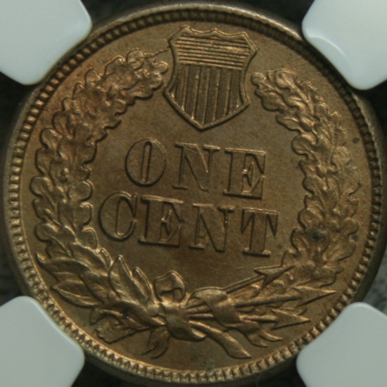 Just-Back-From-NGC-Rick-Snow-Coins?