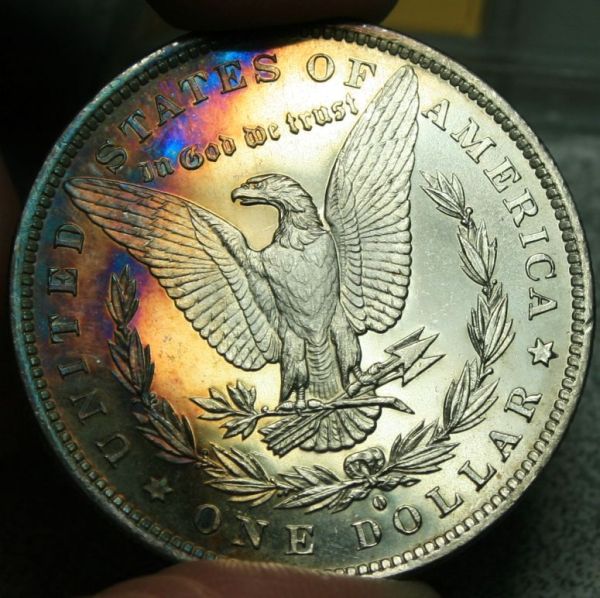 New-Pick-Going-To-Grading