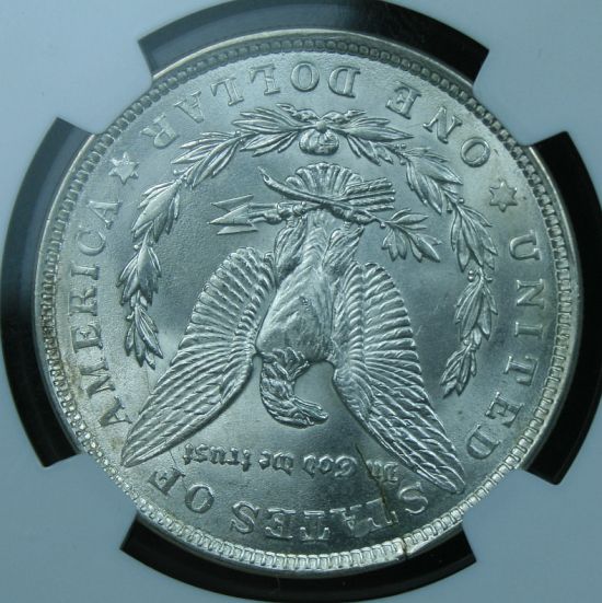 Morgan-Dollar-W/-Broken-Planchet