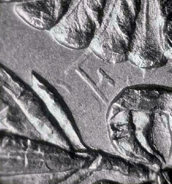 Daily-Running-Post-Of-Each-E-Clashed-Dollars