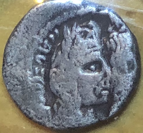 Post-#16:-Please-Help-Identify-Ruler/Cat#-On-Nabataean-AR-Drachm