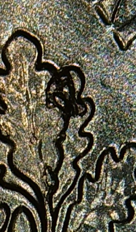 Better-Pictures-Of-The-2022-Dimes