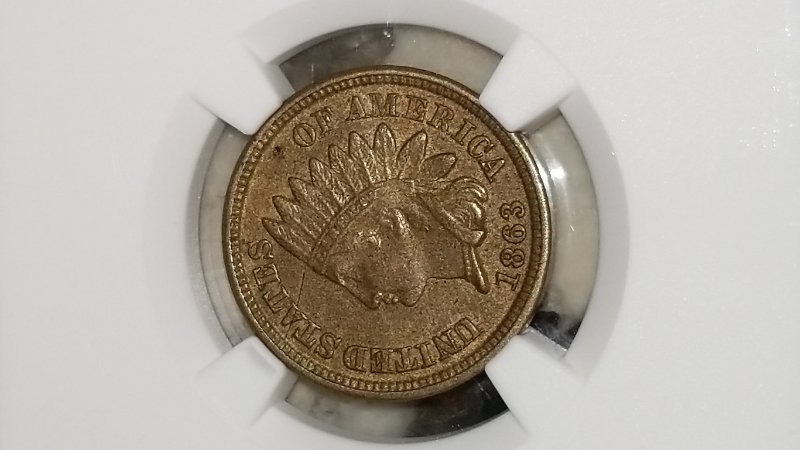 Started-My-Indian-Head-Cents-Collection