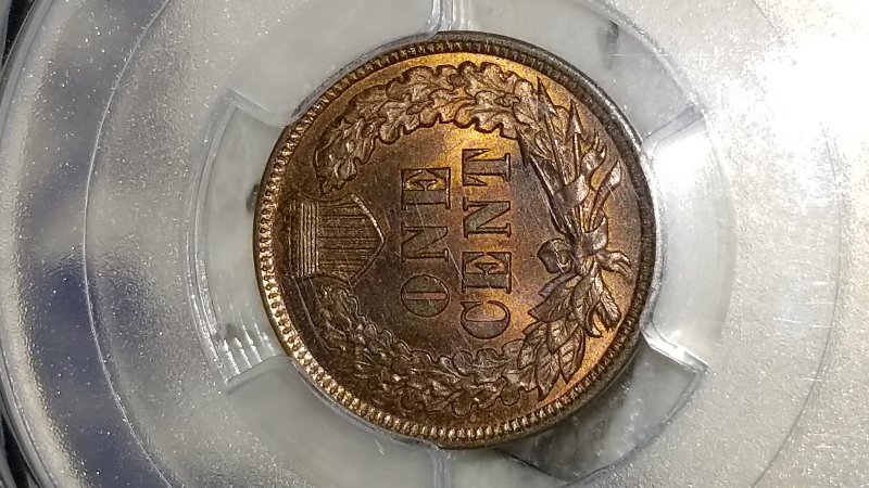 Started-My-Indian-Head-Cents-Collection