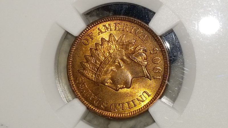 Started-My-Indian-Head-Cents-Collection
