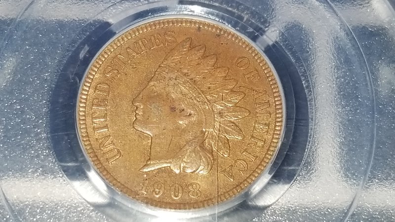 Started-My-Indian-Head-Cents-Collection