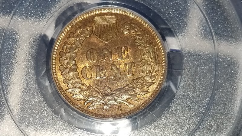 Started-My-Indian-Head-Cents-Collection