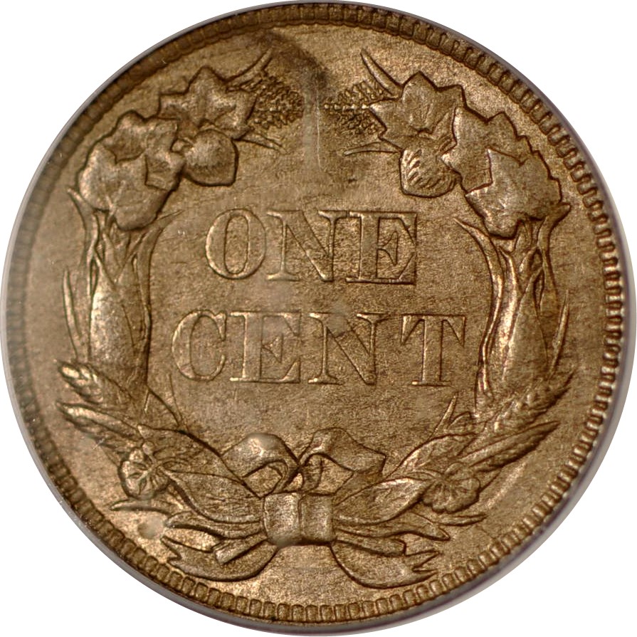 Starting-My-US-Coins-Type-Set