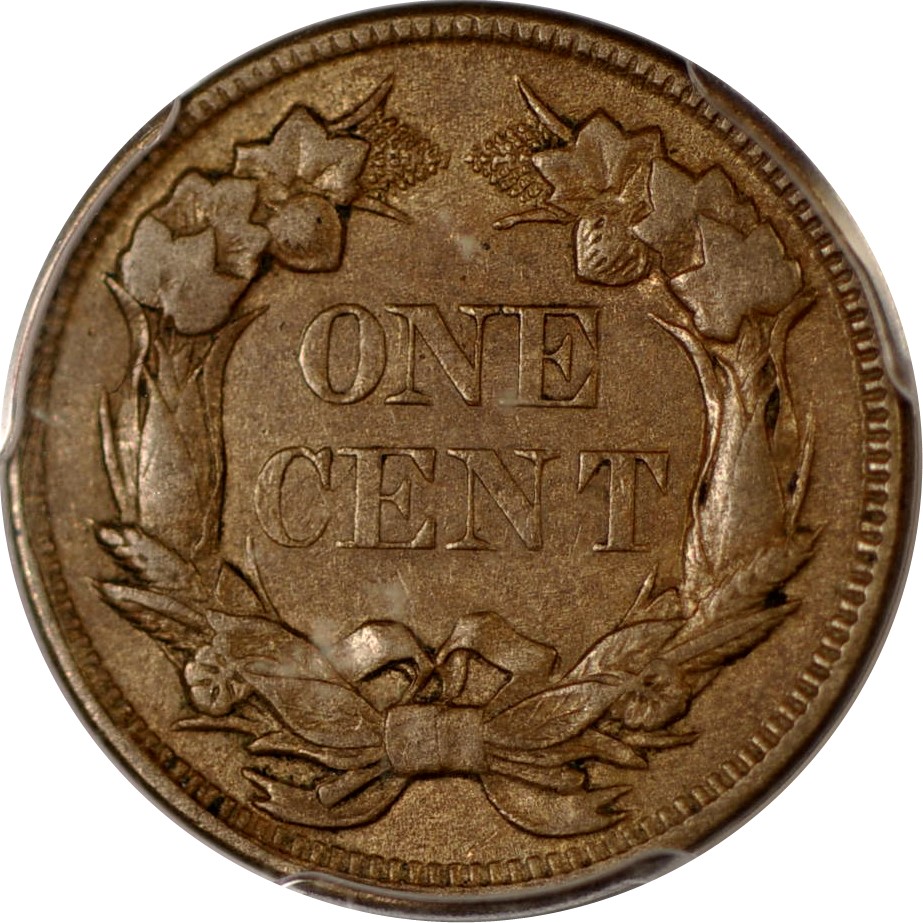 Starting-My-US-Coins-Type-Set