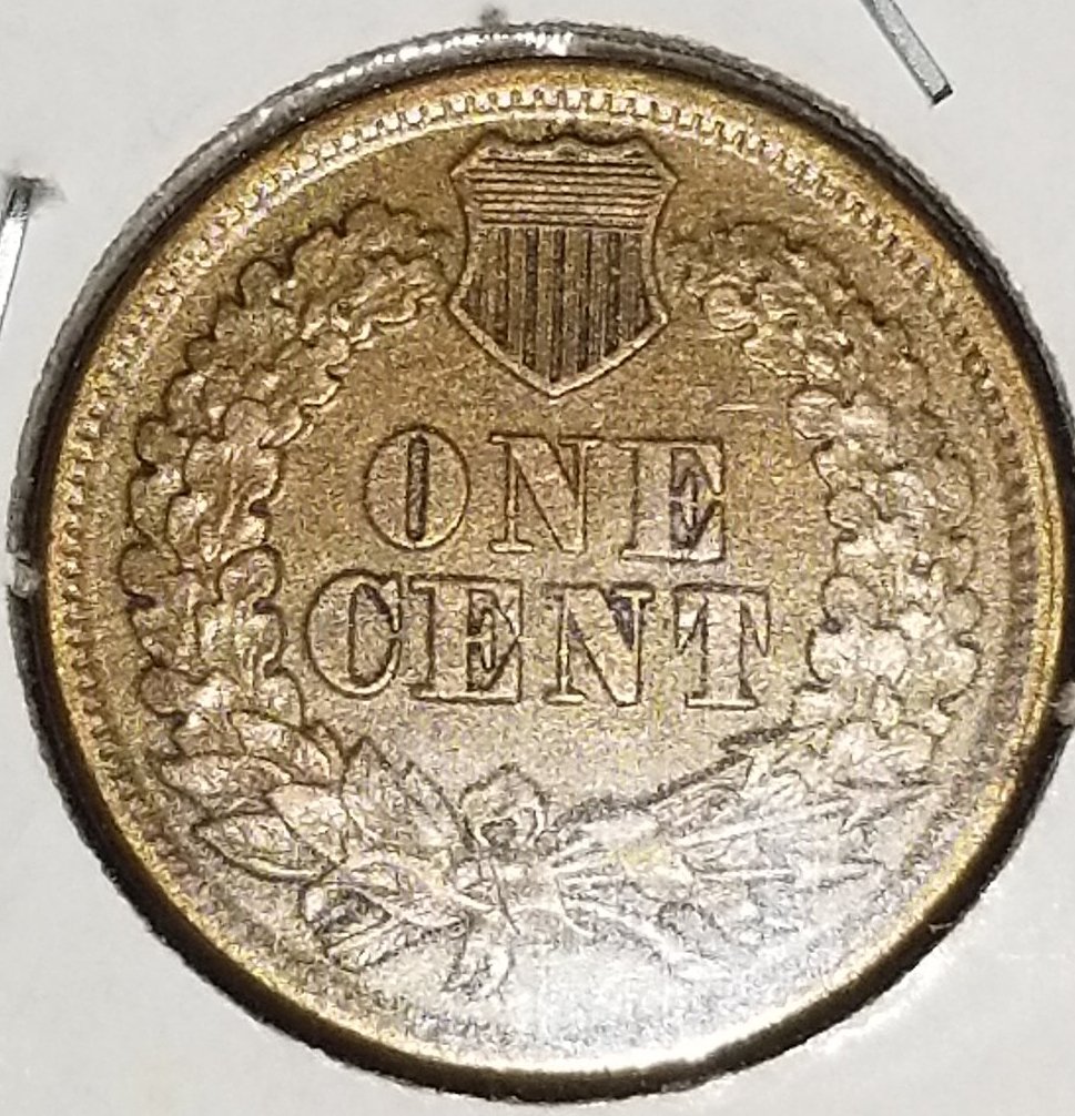 Started-My-Indian-Head-Cents-Collection